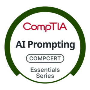 AI Prompting